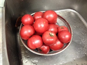 tomato1